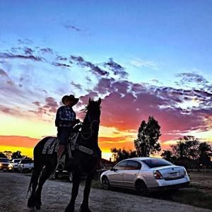 Meet your Posher, Manuel